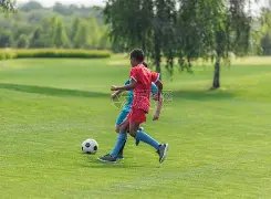 王伟忠谈汪,小菲离婚心,痛苦难舍亲,神殿娱乐,神殿娱乐官方,神殿娱乐官网,神殿娱乐入口,神殿娱乐登录